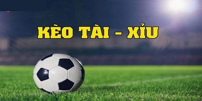 Các tip cá độ bóng đá tài xỉu phổ biến
